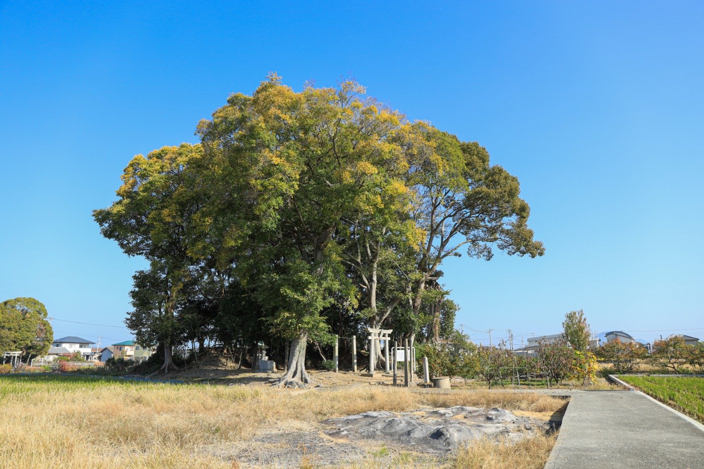 仲村城跡