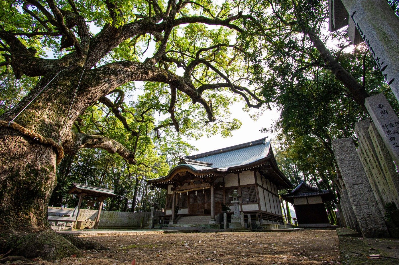 木熊野神社