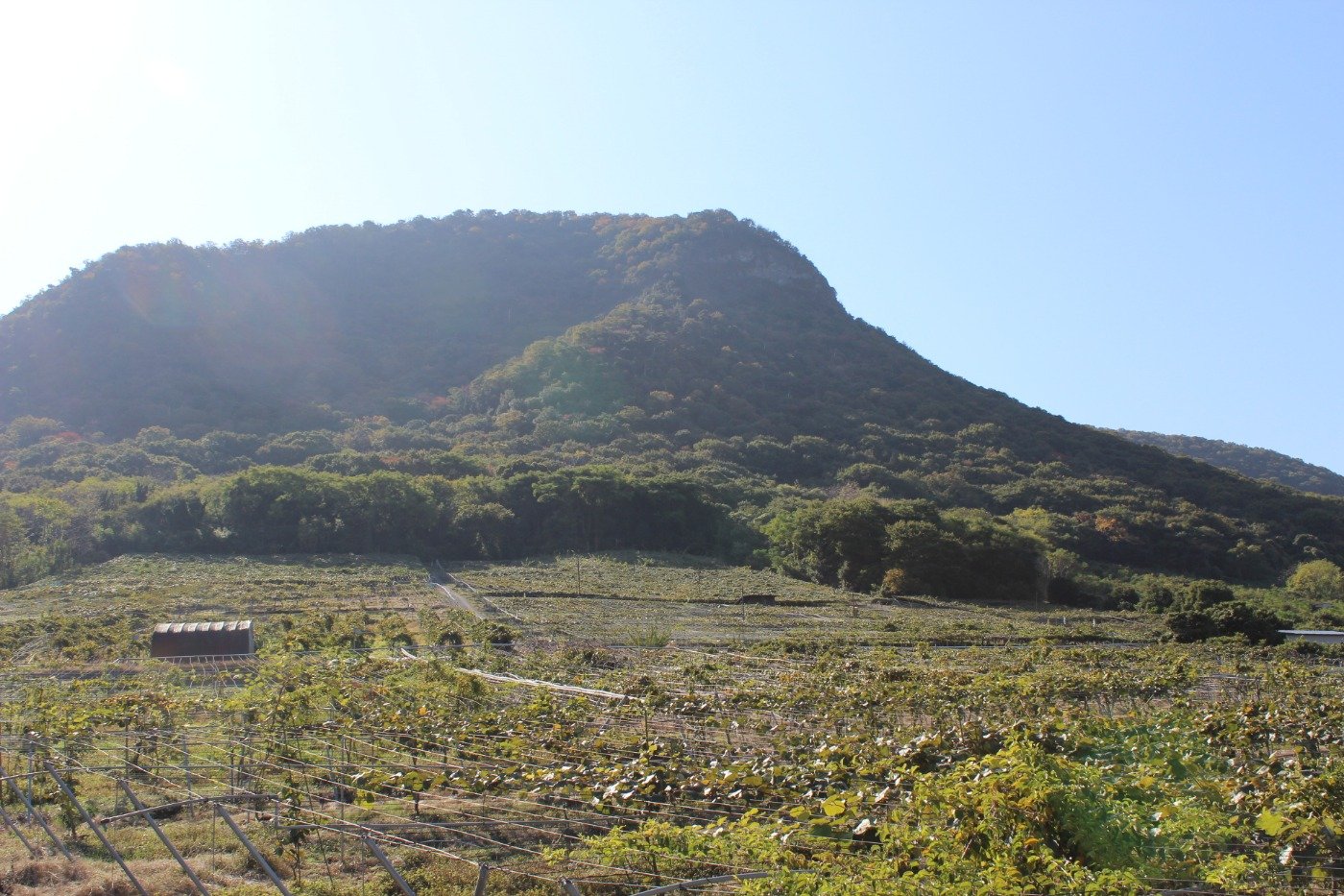 我拝師山遺跡