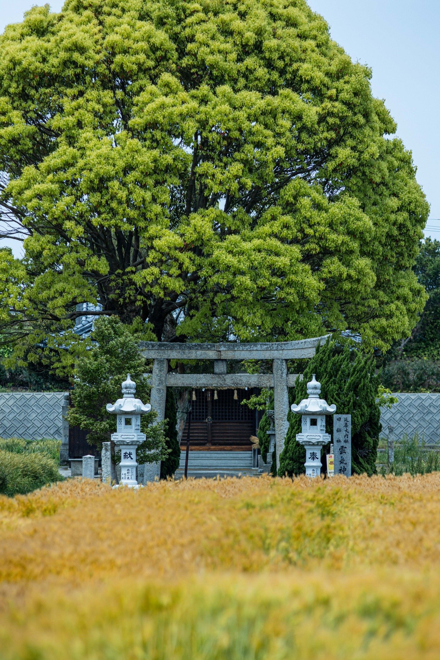 雲気神社