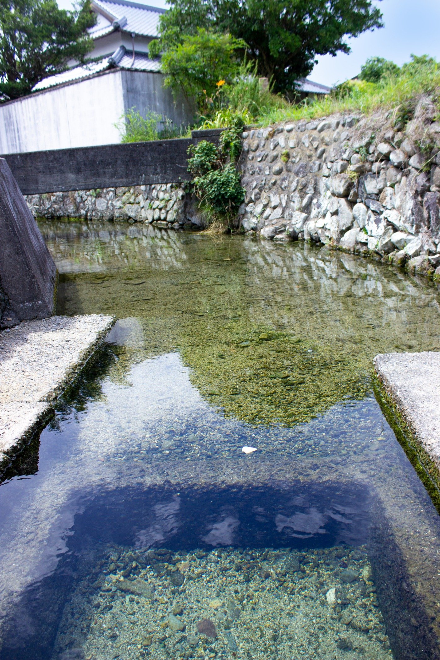 大井湧（上湧・下湧）