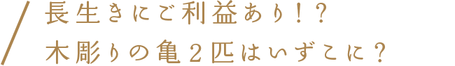 長生きにご利益あり！？木彫りの亀2匹はいずこに？