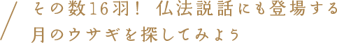 その数16羽！ 仏法説話にも登場する月のウサギを探してみよう