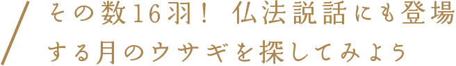 その数16羽！ 仏法説話にも登場する月のウサギを探してみよう